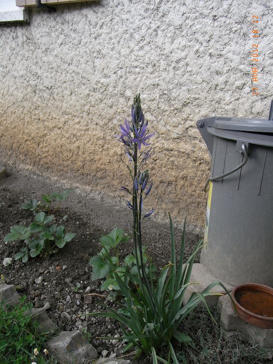 photo1