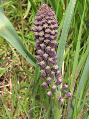 photo2