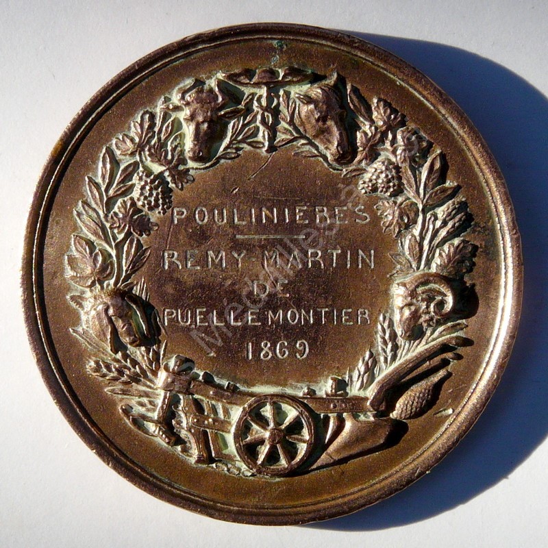 Poulinires Rmy-Martin - 1869