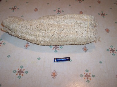 photo1