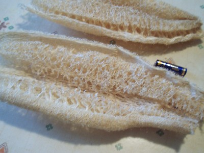 photo2