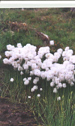 photo1