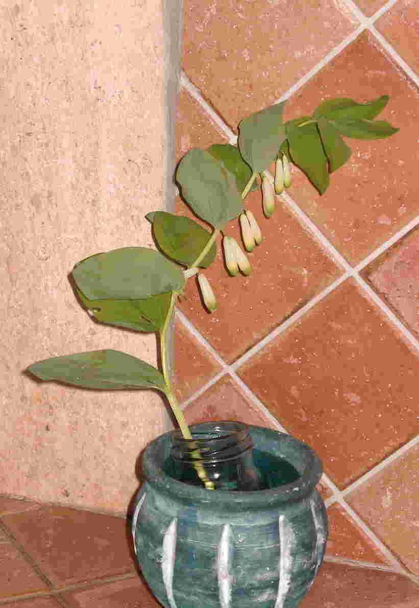 photo1
