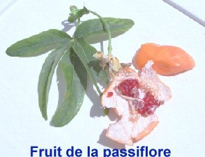 photo2