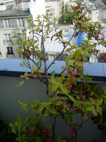 photo1