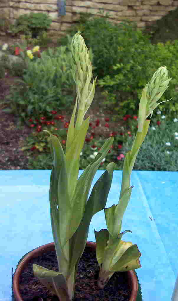 photo1