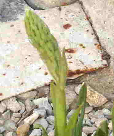 photo2