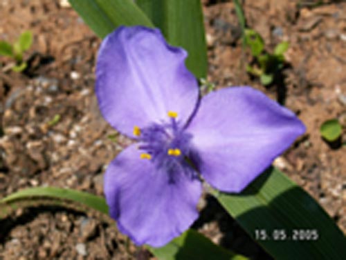 photo1