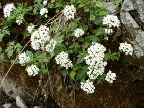 photo1