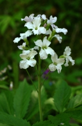 photo2