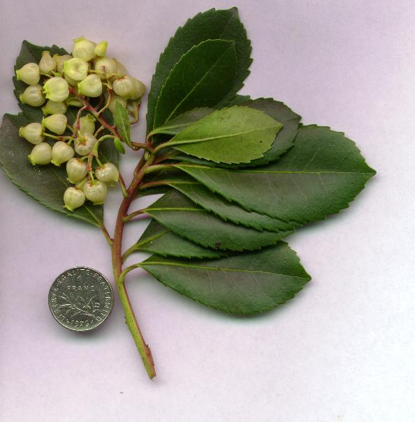 photo1