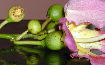photo1