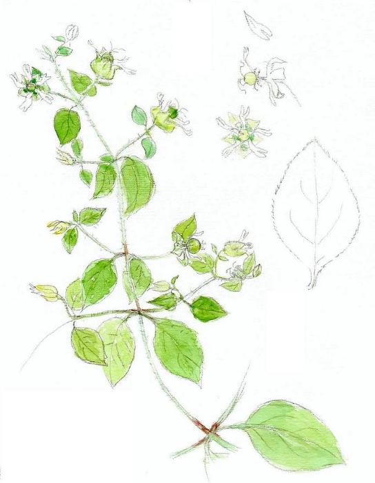 photo1