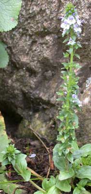 photo2