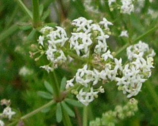 photo1