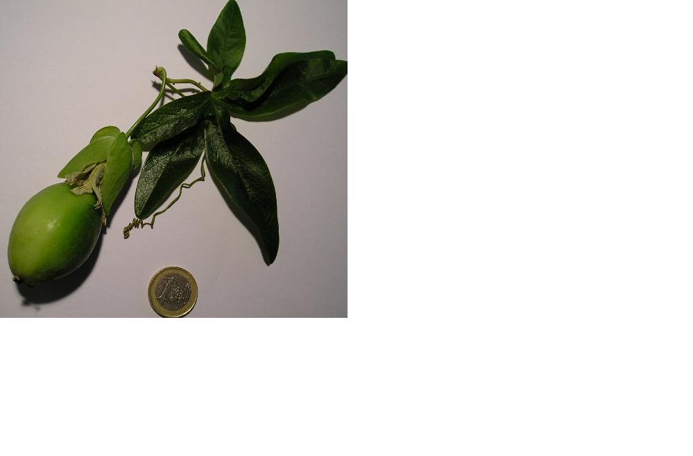 photo1