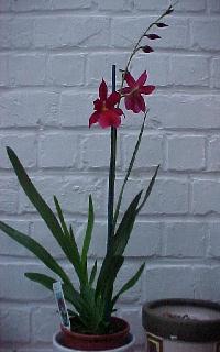 photo2