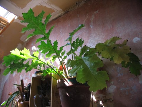 photo1
