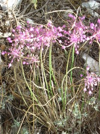 photo1