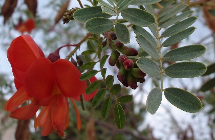 photo1