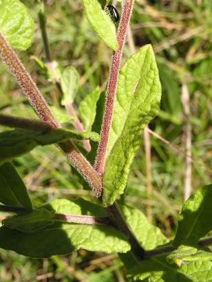 photo2
