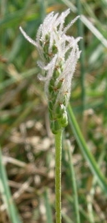 photo1