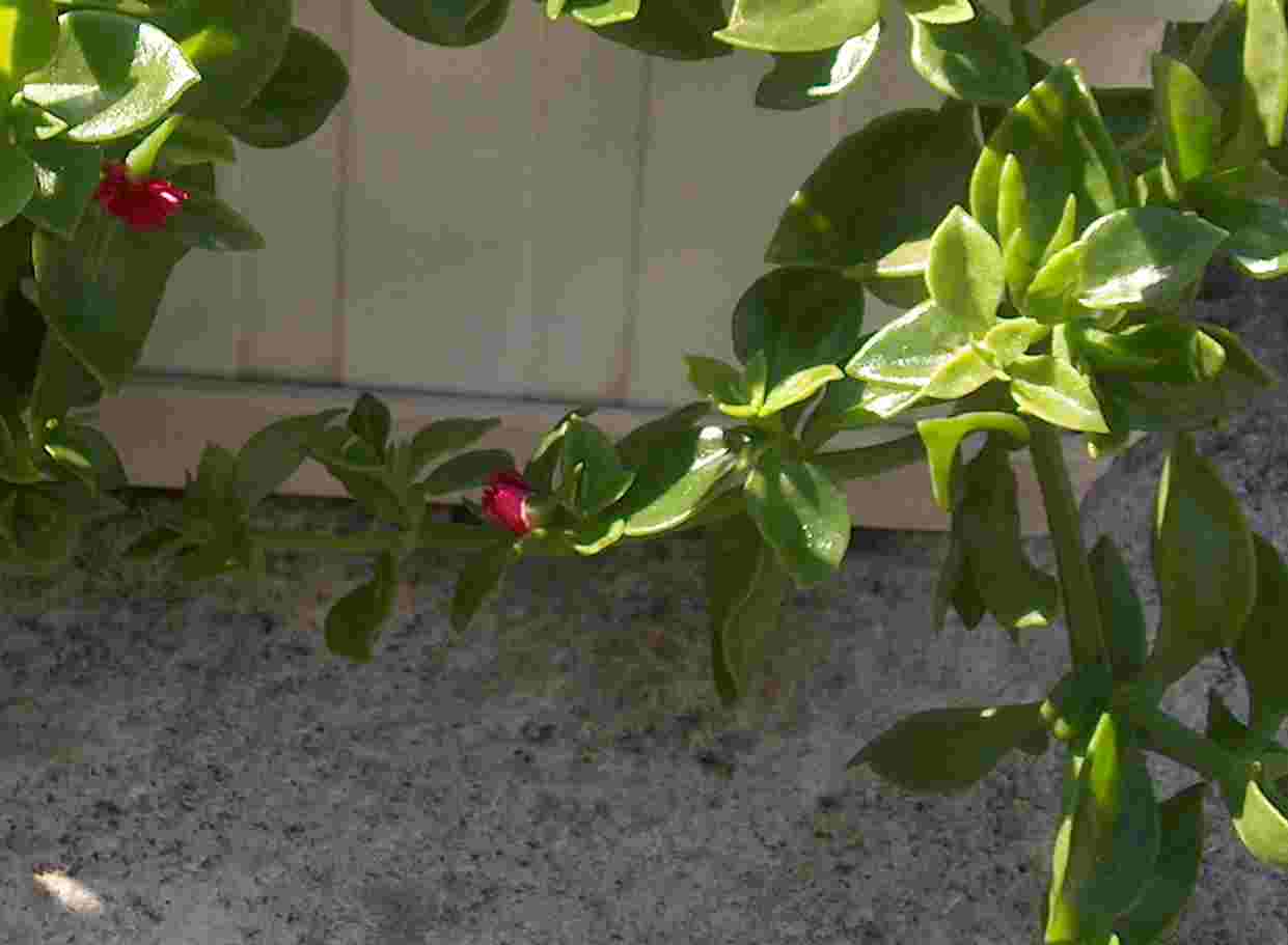 photo1