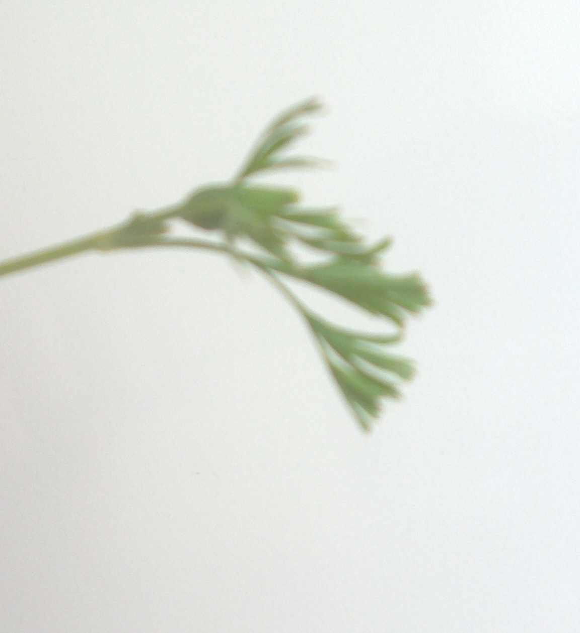 photo2