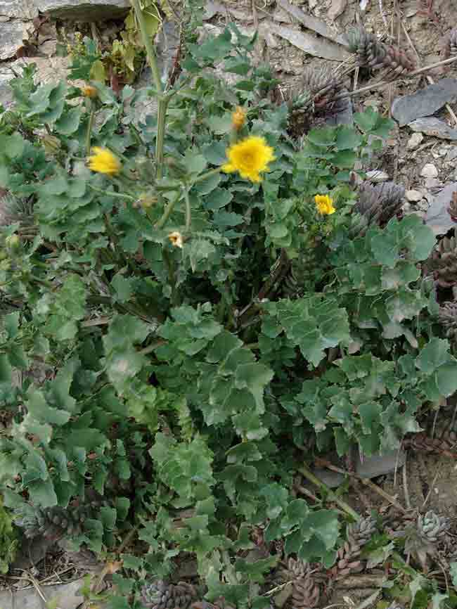 photo2