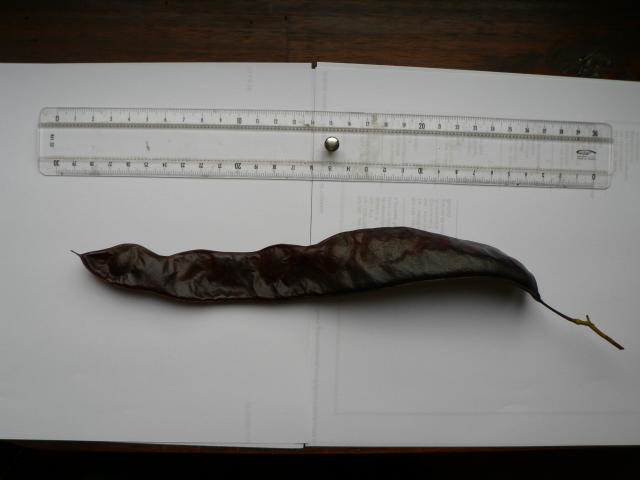 photo1