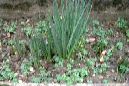 photo1