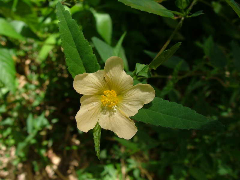 photo1