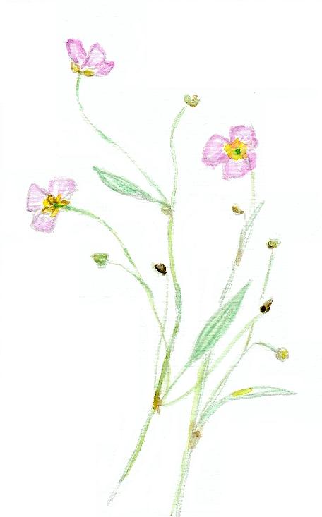 photo1