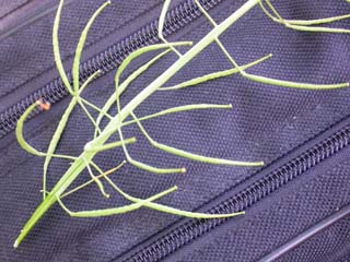 photo1