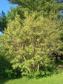 photo1