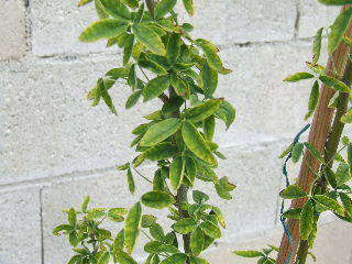 photo1