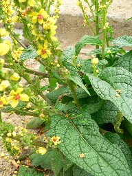 photo1