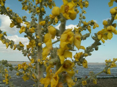 photo2