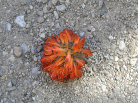 photo2