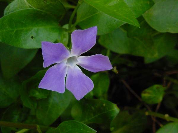 photo1