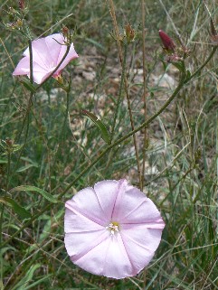 photo1
