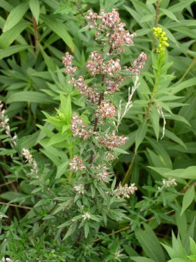 photo1