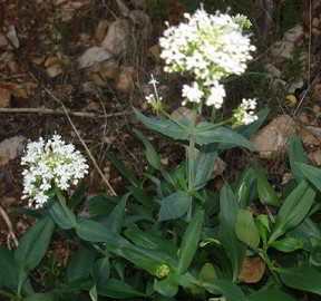 photo1