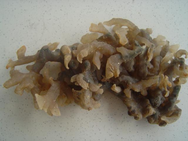 photo1