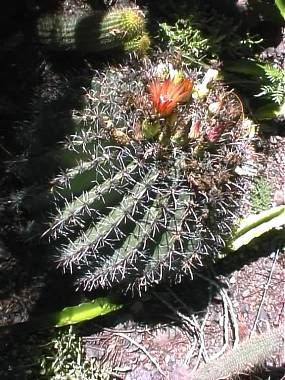 photo1