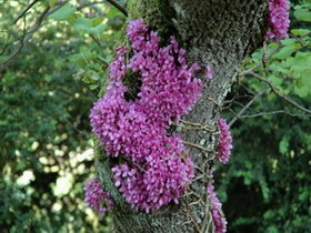 photo2