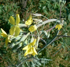photo1