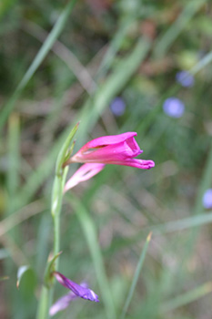 photo1