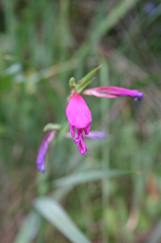 photo2