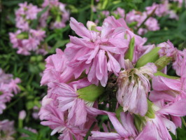 photo2